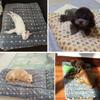 Soft Flannel Pet Mat Flannel Dog Blanket Mat Cat Cover Blanket Dog Thicken Sleeping Mat  Winter