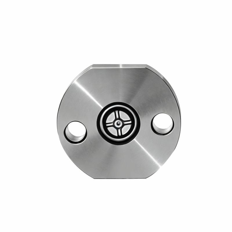 10# G2/G3 Diesel Engine Injector Control Valve Plate Suitable For Injectors : 095000-5125 095000-5214 095000-5271 LH1142