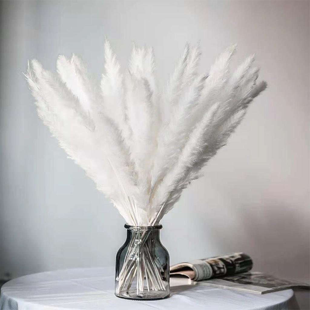 30PCS Small Reed Immortal Flower Bouquet Pampas Grass Dry Flowers Christmas DIY Decorations White