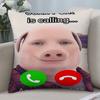 Наволочка John Pork Is Calling 3D-печать Полиэфирное волокно 40*40 см Декоративная наволочка для дивана Подарок на фестиваль