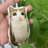 Плюшевая кукла Брелок со звуковой функцией Мягкая набивная игрушка Аксессуар для сумок Рюкзаков и Ключей Прочный Материал Крепление-кольцо для ключей