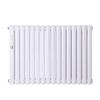 Zhuqin Decorative Steel Radiator