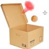 Kraft Paper A4 File Storage & Archive Box