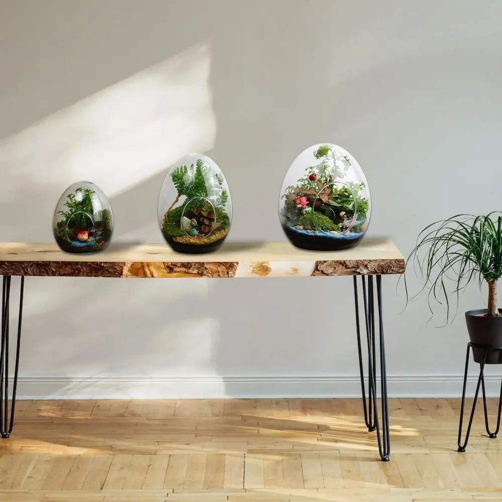 Exquisite Succulent Glass Vase Transparent Micro Landscape Moss Bottle Hydroponic