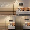 LED Floor Lamp, Stand Light, Indirect Lighting, Floor Stand, SpotlightFloodlight, High Brightness, Height Adjustable, Assembly Required, Stepless