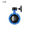 dn80 epdm worm gear ductile iron