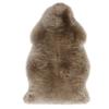 Craft Works Sheepskin Rug (Natural / Long Hair / Single Rug / 60 X 90cm) Taupe (Washable / Carpet / Wool) Sheepskin Rug (1 Rug)