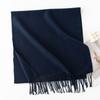 New Solid Color Maillard Imitation Cashmere Scarf for Women Autumn and Winter High End Warm Shawl Simple Scarf