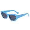 PC Small Framed Glasses With High-definition Field Of View Shatterproof Candy Colored Sunglasses