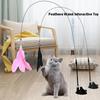 Interactive Cat Toy Handfree Cat Stick Playing Kitten Playing Teaser Wand Toy Suction Cup Bird/Feather Cat Wand Pet Supplies