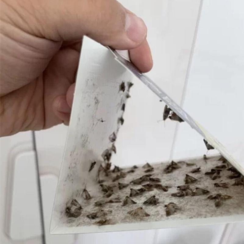 Главная Кухня и одежда Кладовая ловушки для моли с феромонами Prime Clothes Closet Moth Traps Magic Moth Catcher