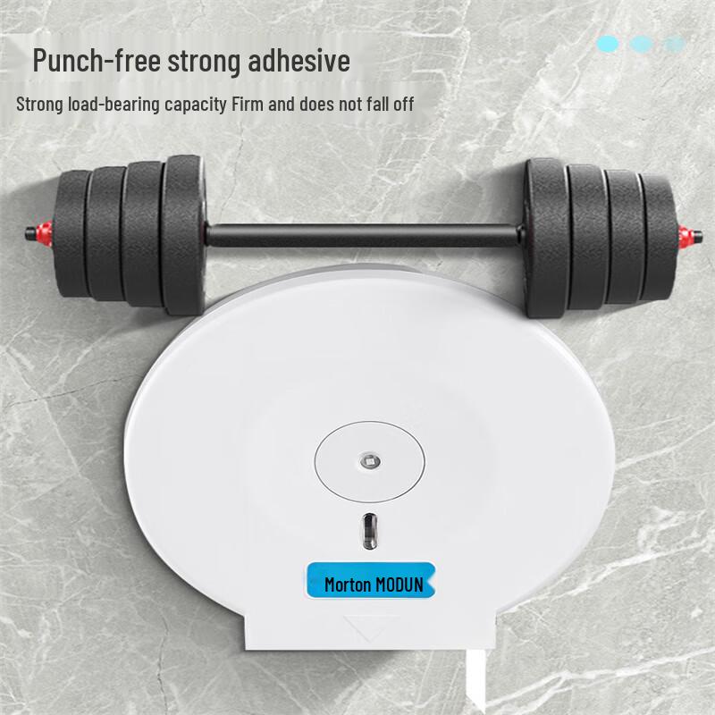 Wall-Mounted Large Roll Tissue Dispenser
