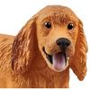 Schleich English Cocker Spaniel SL13896, 1 шт., популярные игрушки в Корее