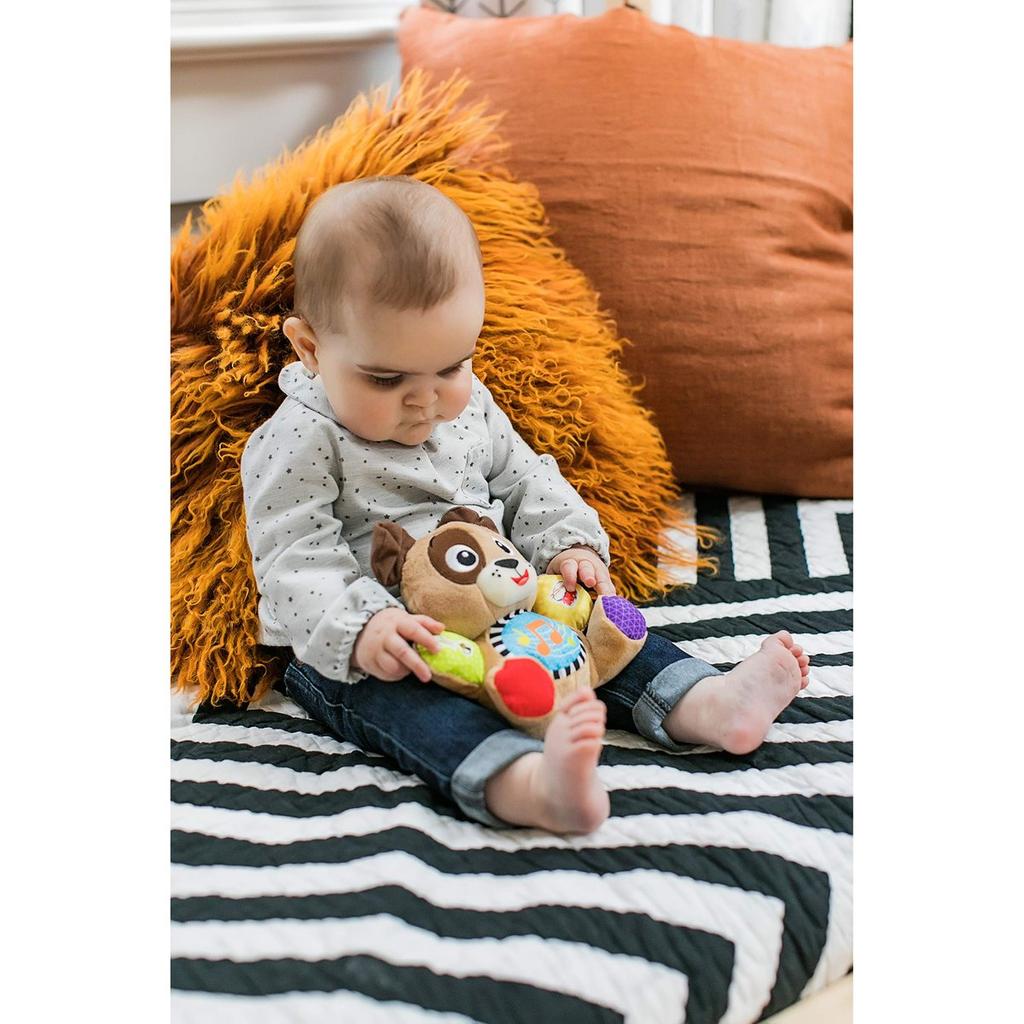 Baby Einstein Нажми и играй Друзья, Развивающая музыкальная игрушка, от 3 месяцев+
