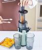 Mini Slow Juicer Small Compact Fruit Vegetable Vitamin Health Habits Keep Freshness Fresh Juice Retro [Toffy] K-BD4 (Pale Aqua) K-BD4-PA