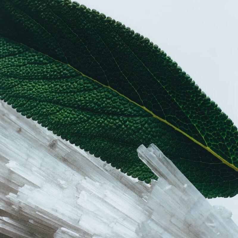 Парфюм Jo Malone Wood Sage & Sea Salt