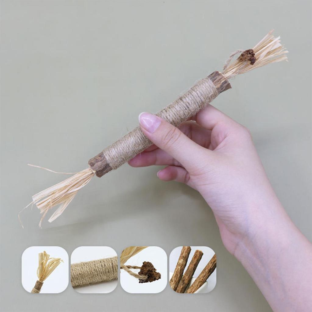 Палочки мататаби 5 штук Натуральные Жевательные Устойчивые к укусам Товары для питомцев Натуральные Палочки мататаби Игрушки для жевания кошек Товары для питомцев