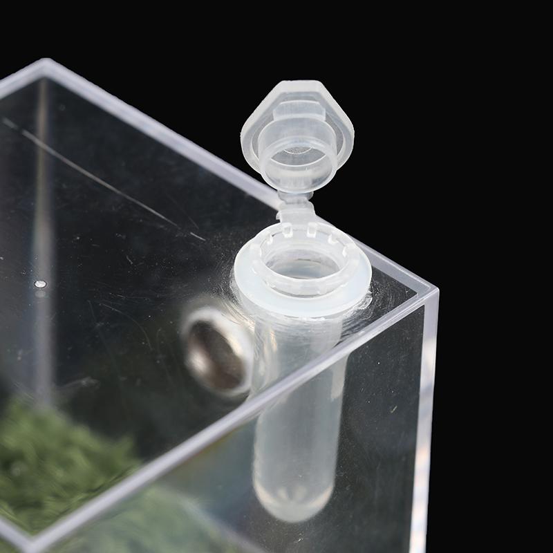 Коробка для разведения рептилий, акриловая коробка для террариума с насекомыми, пауком, ящерицей, скорпионом Enti's