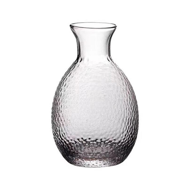 Elegant Gold-Rimmed Glass Sake & Spirits Serving Set