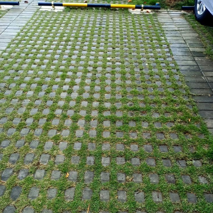 Dwarf Parking Lot Grass Seed - Ideal for Short-legged Dogs, No-Mow, Low-Growing, Wear-Resistant, Four-Season Evergreen.