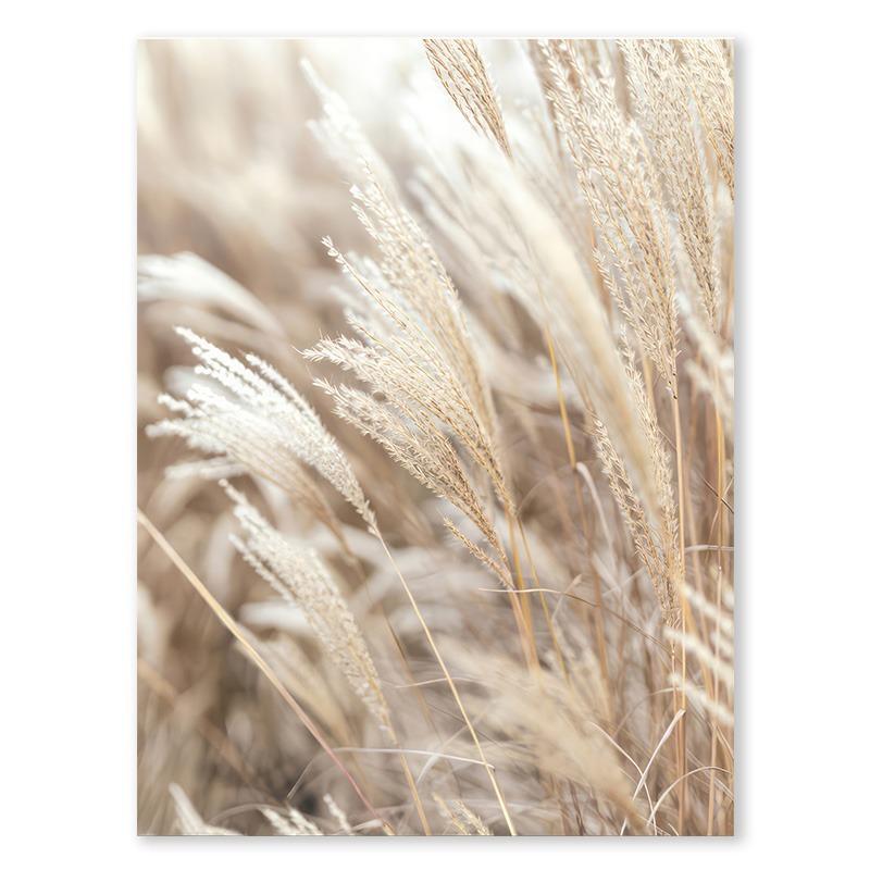 Lake Beach Landscape Canvas Painting Wall Art Bohemia Beige Grass Flower Reed Poster and Print Picture Home Living Room Decor