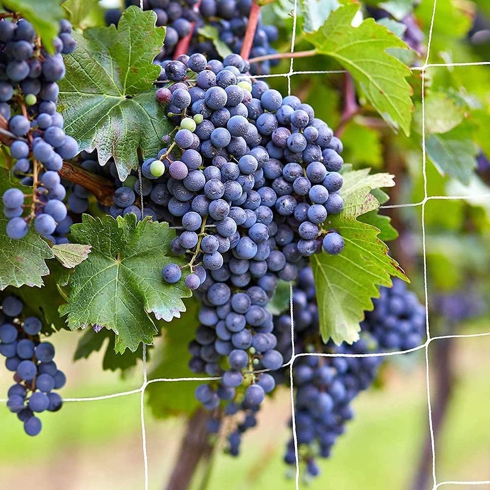 Сетка для шпалер, Сверхпрочная садовая сетка для шпалер для вьющихся растений, Наружная/внутренняя сетка для выращивания фасоли, помидоров, гороха, тыквы, цветов