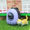 Аксессуары для украшения кукольного дома Мини-модель кошки Pet Space Bag Аксессуары для кукольного дома