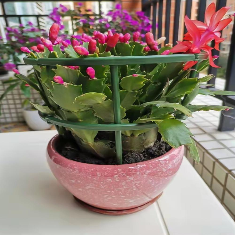 4/6/8 шт./набор опор для растений, стойка для цветов, опора для растений, садовые инструменты для бонсай, садовый кронштейн