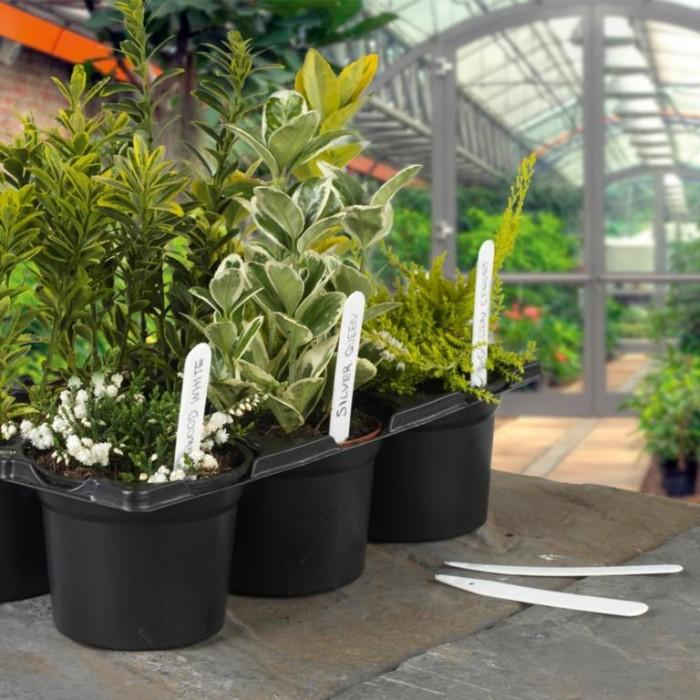 Ambassador Plastic Plant Labels (Pack of 100)