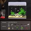 All-in-One Glass Aquarium Filter & Oxygenator - Small Eco-Friendly Desktop Tank 2025.