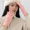 Зимние ветрозащитные перчатки для женщин, с искусственной овечьей шерстью, термоперчатки, для активного отдыха на природе, в холодную погоду, для тепла рук