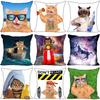 Bedroom Home Office Decor Pillowcase Square  Funny Cat Animal