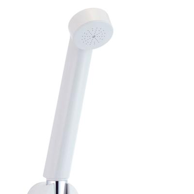 Душевая насадка LIXIL INAX Eco Full, белая Спецификация PK-BF-SD6