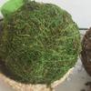 6 шт. Мох 10 см зеленый шары-наполнители для вазы для рождественской елки сада свадьбы домашнего декора вечеринки