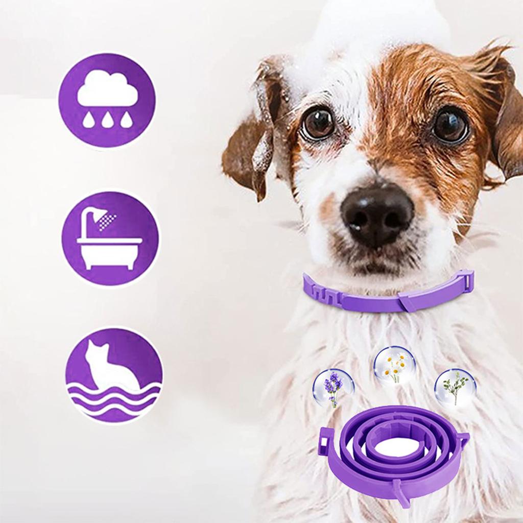 3 шт. Успокаивающий ошейник для кошек, ошейник с феромонами для собак, успокаивающий ошейник с защитой от беспокойства у домашних животных, расслабляющий и успокаивающий силиконовый ошейник