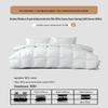 Mercury Songhua River White Goose Down Quilt