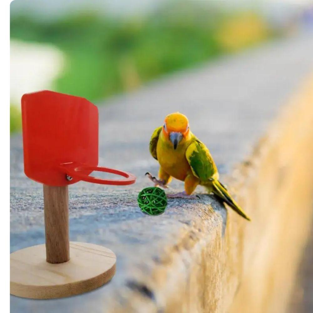 Wood/Plastic Bird Mini Basket Frame Toy For Parrots Parakeet Cockatiels