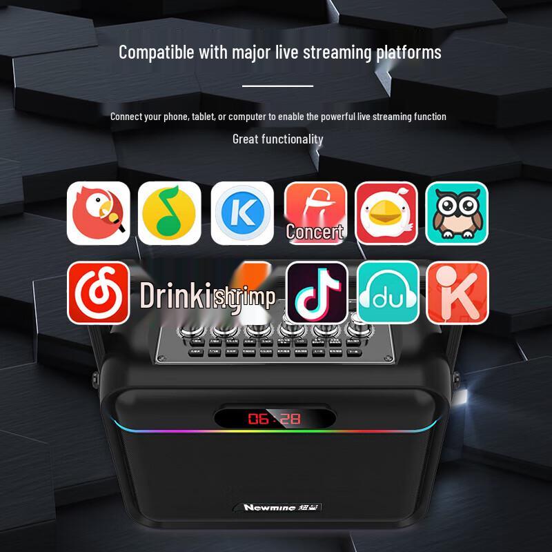 Newmine K112 Portable Bluetooth Karaoke Speaker