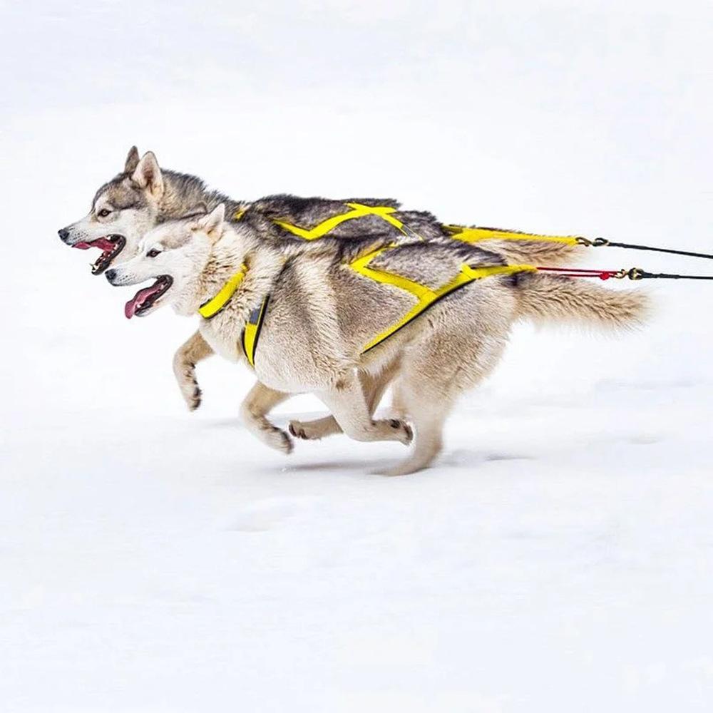 Собака Уличные Сани Нагрудный Ремень Собака Силовые Тренировки Тяговый Ремень Хаски Сацума Лыжная Тяговая Веревка