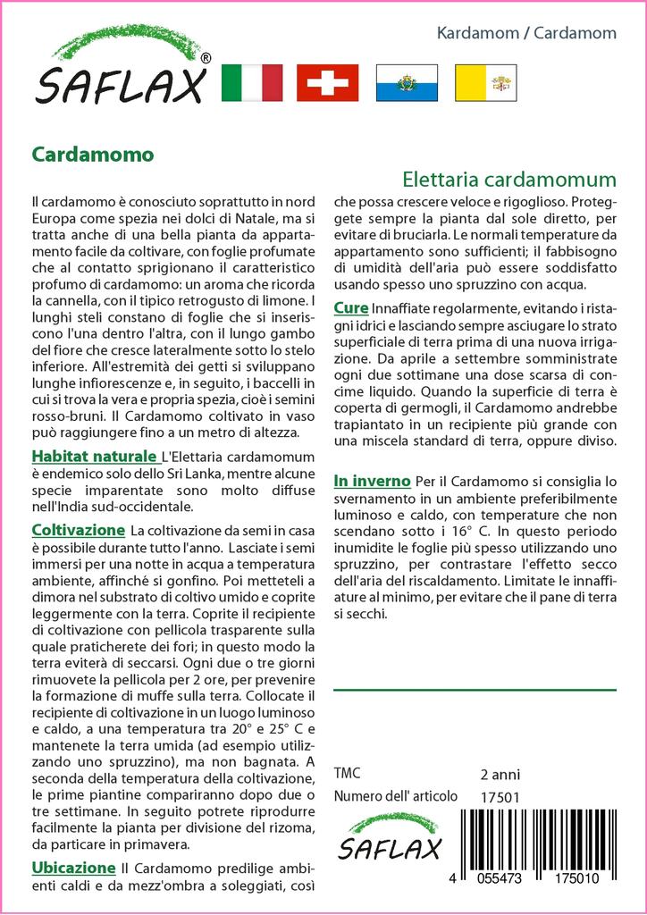 SAFLAX Garden in the Bag - Кардамон - 20 семян - С субстратом в подходящем пакете - Elettaria cardamomum