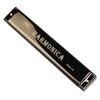Tremolo Harmonica 24 Hole Harmonica Double Row Blues Harmonica C-key Harmonica  Student