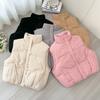 Fashion Winter Sleeveless Vest Woman Warm Outerwears Casual Thick Women's Jackets