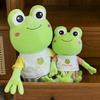 Милая наряженная маленькая лягушка плюшевая игрушка кукла летняя кукла-лягушка подарок на день рождения подарок для автомата с призами