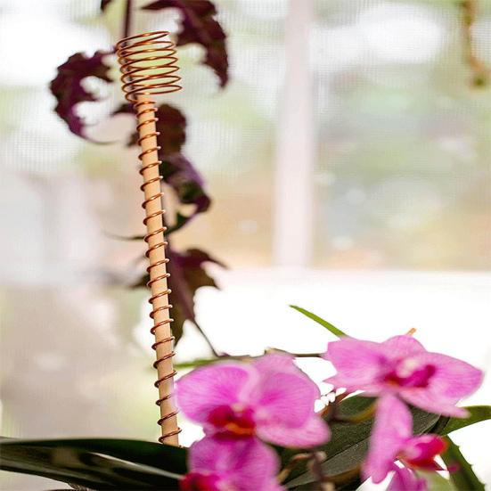 6 шт./компл. 12-дюймовый электрокультурный кол для растений, деревянный стержень, садовые растения, выращивание овощей, электрокультура, медная проволока, катушка, антенна, садовые принадлежности