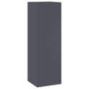 Plant Stand 2 pcs Anthracite 24 x 24 x 75 cm Steel