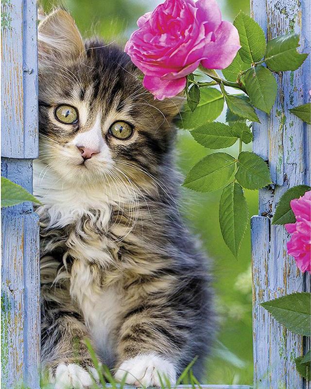 5D DIY Алмазная картина Клан волка Девушка Полный квадратный круглый набор для вышивки крестом Алмазная вышивка Сад Уличный пейзаж Мозаика Ручная работа Домашний декор