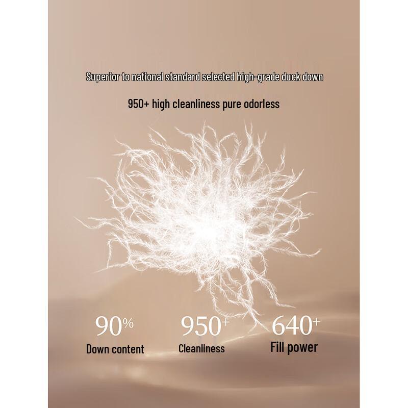 Inman Women's Shirt-Style Light Down Jacket