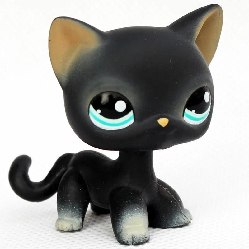 Редкая игрушка Littlest Pet Shop Lps Мини-подставки Котенок с короткой шерстью Старые фигурки Коллекция Al Игрушка на пружинке
