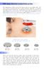 Upgrade 448KHZ RF Tecar Therapy RET CET Diathermy Fat Removal Machine Anti-Cellulite Relieve Pain Home Appliance Muscle Massager