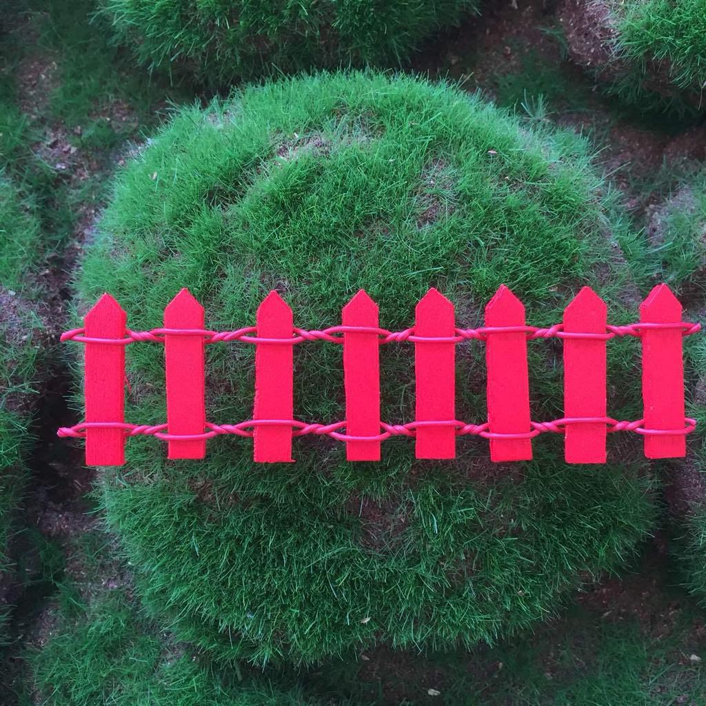 Набор из восьми мини-суккулентов на деревянном заборе